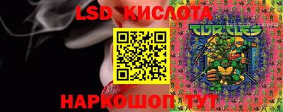 прущие грибы Дубна