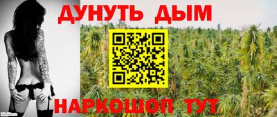 прущие грибы Дубна