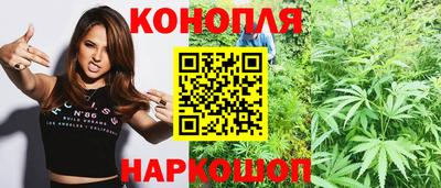 прущие грибы Дубна