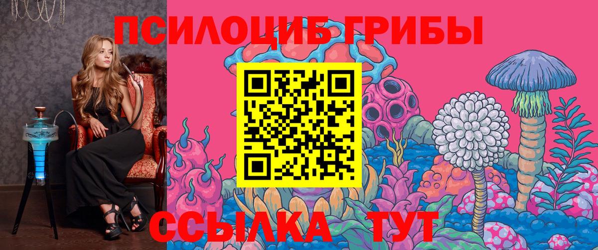 Галлюциногенные грибы Cubensis Кушва