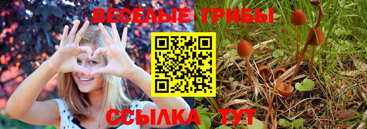 Псилоцибиновые грибы прущие грибы  как найти закладки  Кушва  Вход с VPN  Галлюциногенные грибы MAGIC MUSHROOMS 